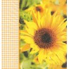 Serviette Sonnenblume