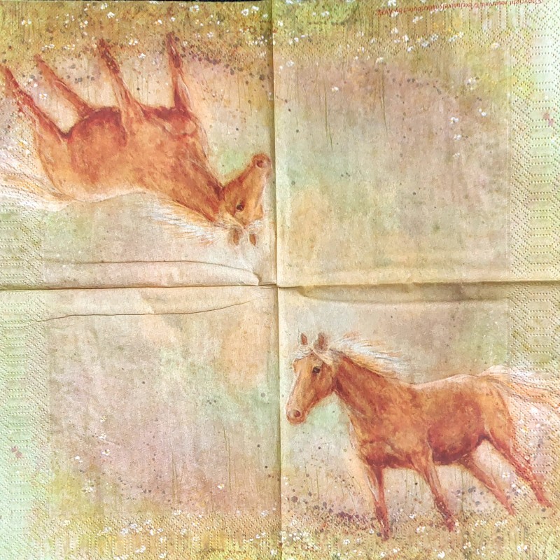Serviette Avec Pferd