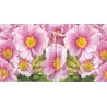 Serviette Primeln rosé