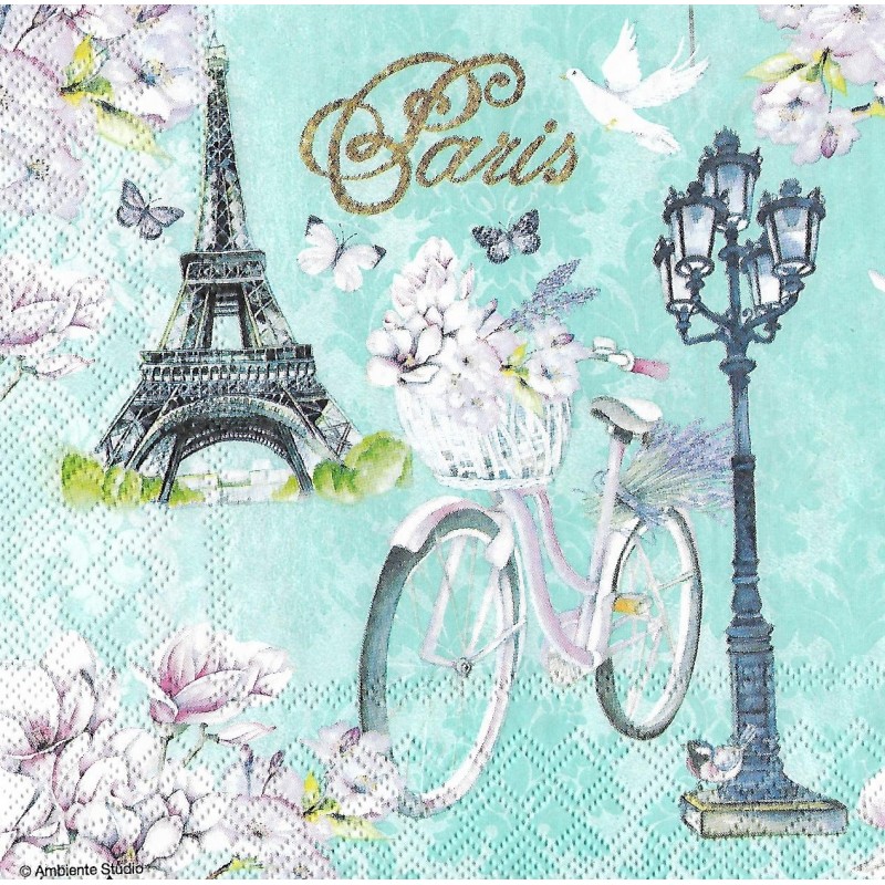 Serviette Bike in Paris