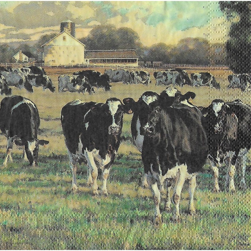 Serviette Ashdene*** Kühe