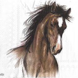 Serviette Amy and Lucy Horses