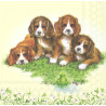 Serviette Welpen mit Frosch