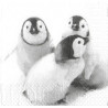 Serviette Pinguin