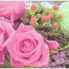 Serviette Rose rosè