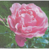 Serviette Rose