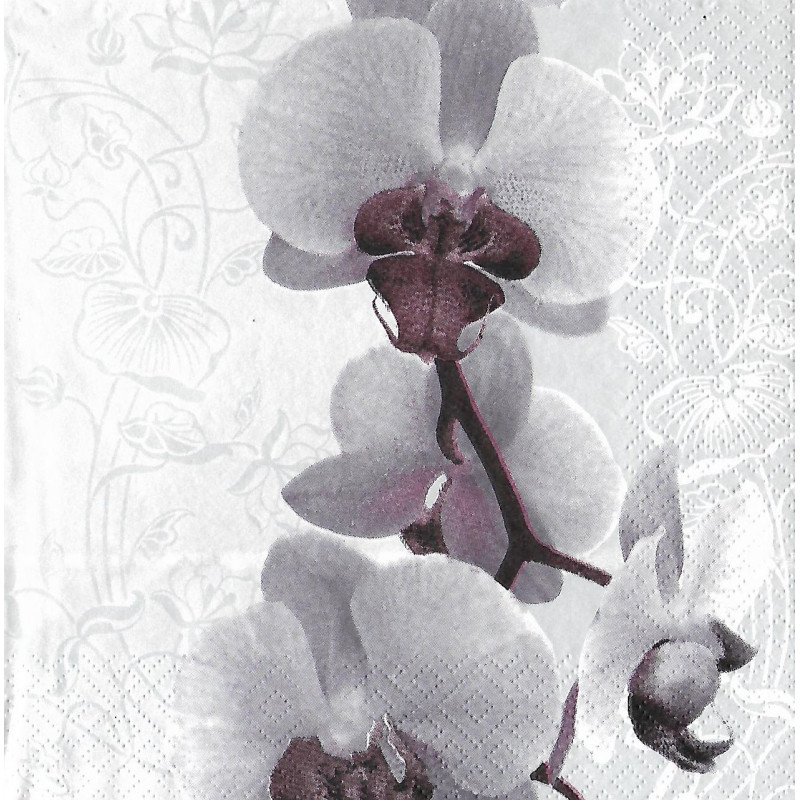 Serviette Orchidee