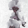 Serviette Orchidee