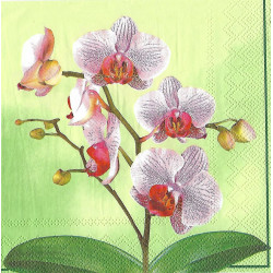 Serviette Orchidee grün