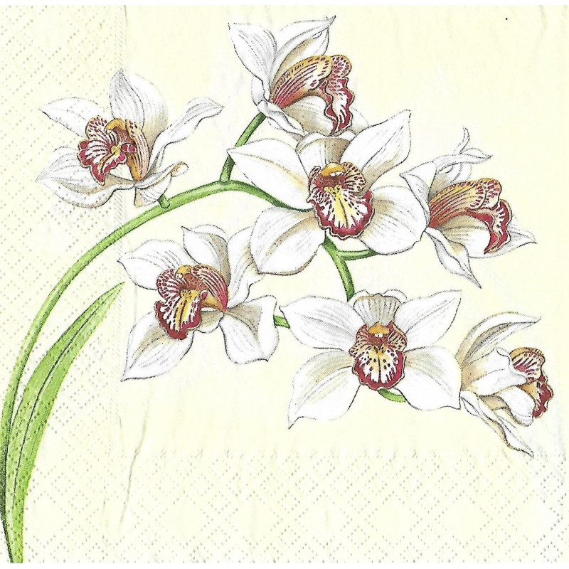 Serviette Orchideenzweig creme