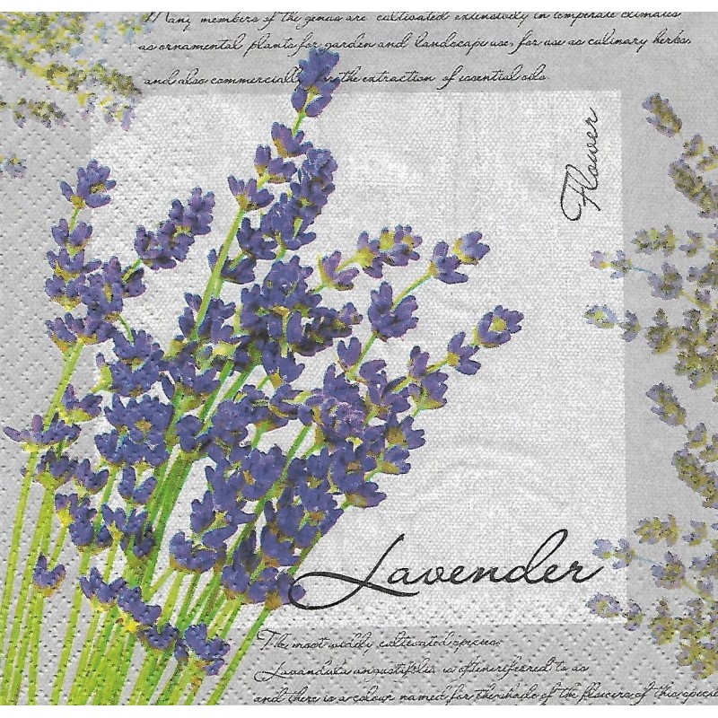 Serviette Lavendel