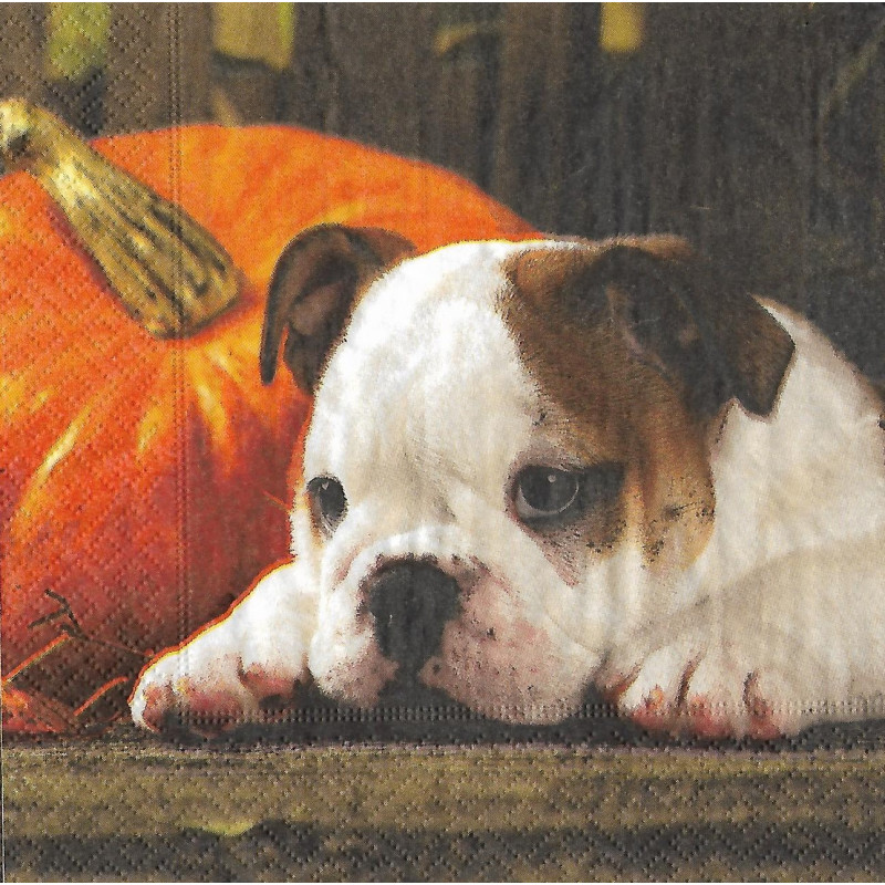 Serviette Autnum Dog