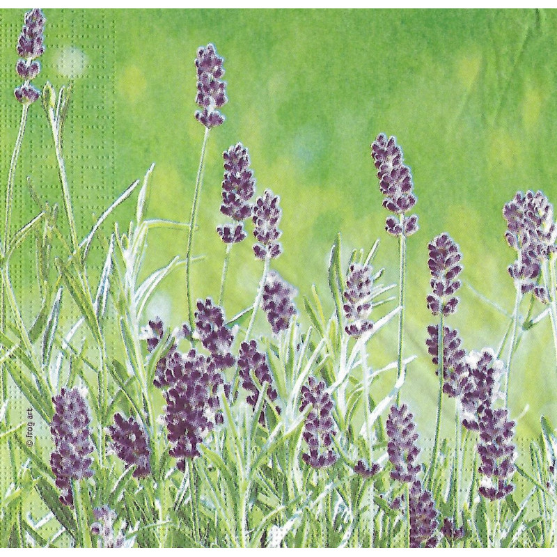 Serviette Lavender