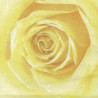 Serviette Rose gelb
