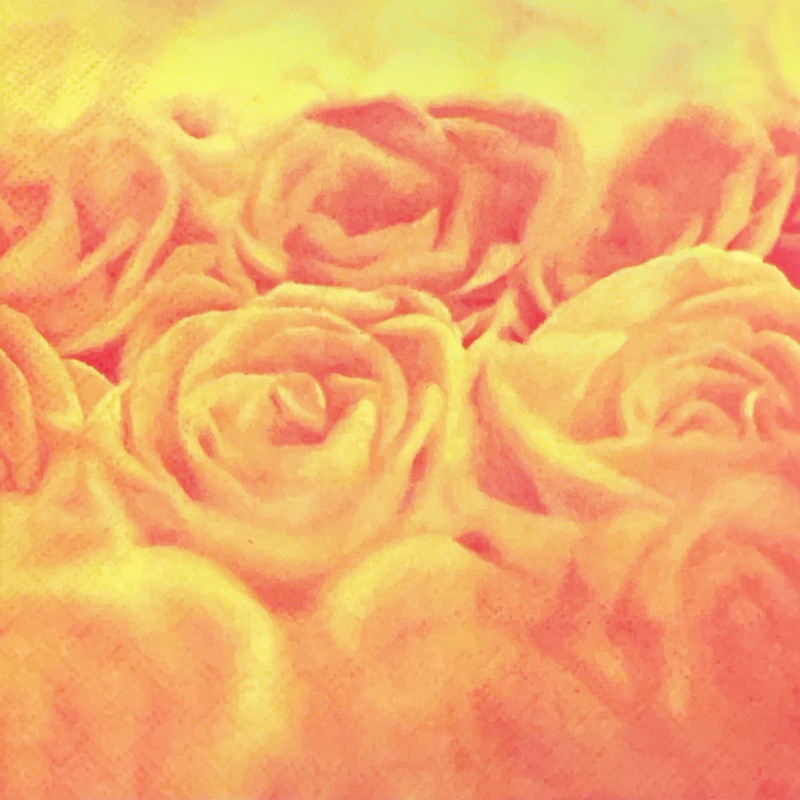 Serviette Rose orange