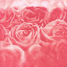 Serviette Rose rosa