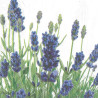Serviette Lavendel