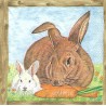 Serviette Rabbit