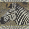 Serviette Safari Zebra