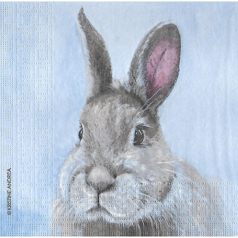Serviette Hasi