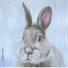 Serviette Hasi