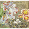 Serviette Vogelnest