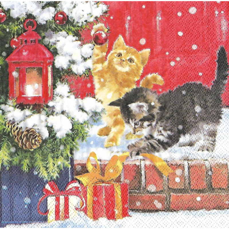 Serviette Kitten on Doorstep