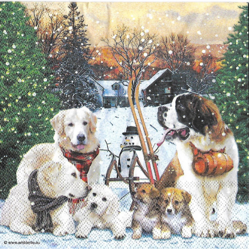 Serviette Hunde im Winter