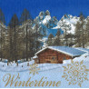 Serviette Wintertime