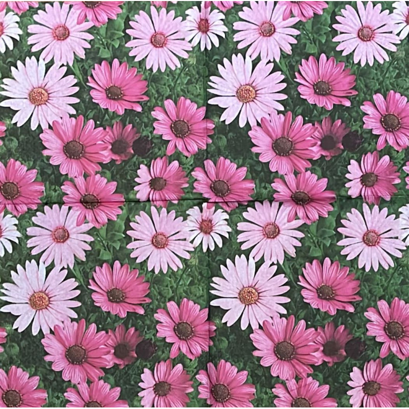 Serviette White and Pink