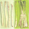 Serviette Spargel