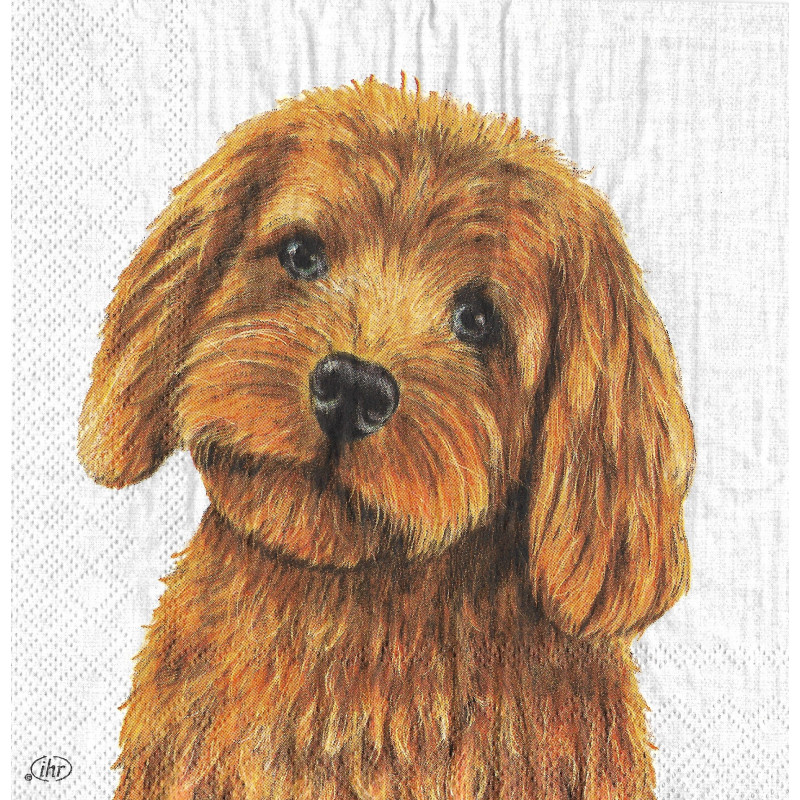 Serviette Hundeportrait Braun – Tiermotiv