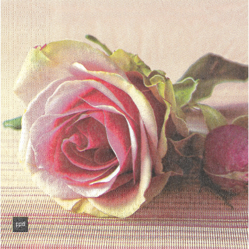 Serviette Elegante Rose in Rosa – Blumenmotiv