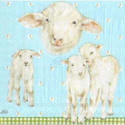 Serviette little Lambs