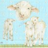 Serviette little Lambs