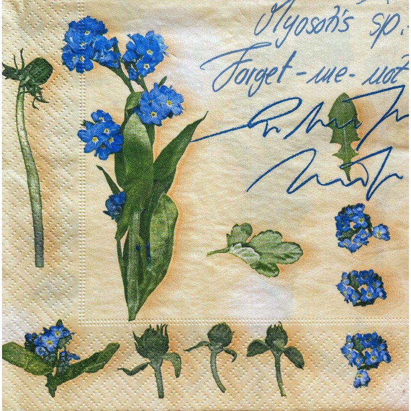 Serviette Vergissmeinnicht