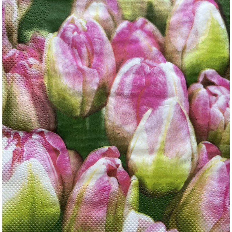 Serviette Tulpen