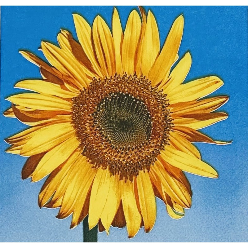 Serviette Sonnenblume