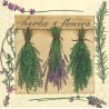 Serviette Herbs & Flowers creme