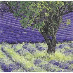 Serviette Baum im Lavendelfeld