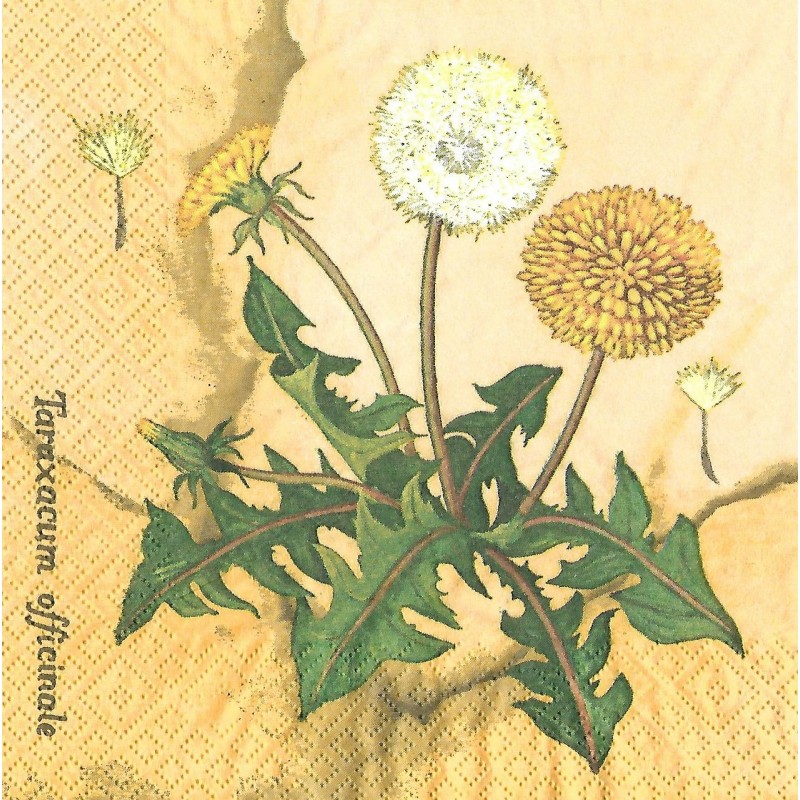 Serviette Löwenzahn
